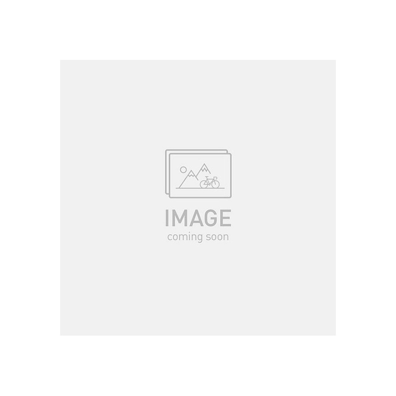 2025 SPECIALIZED DIVERGE COMP CARBON BIKE - 61, GLOSS BIRCH / WHITE