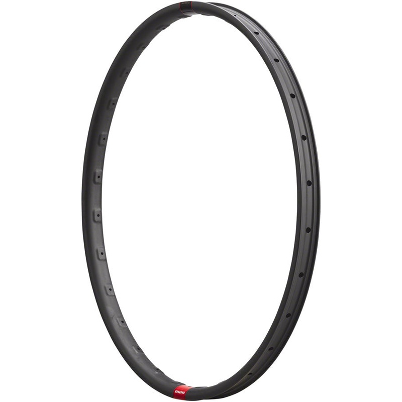 Reserve Wheels Reserve 31 DH Rim - 29", Disc, Carbon, 32H