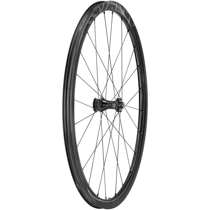 Levante Front Wheel - 700 12 x 100mm CenterLock Black