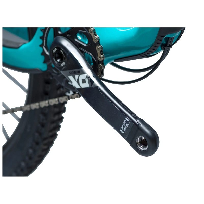 DYEDBRO Crank Guard - Clear - 170mm