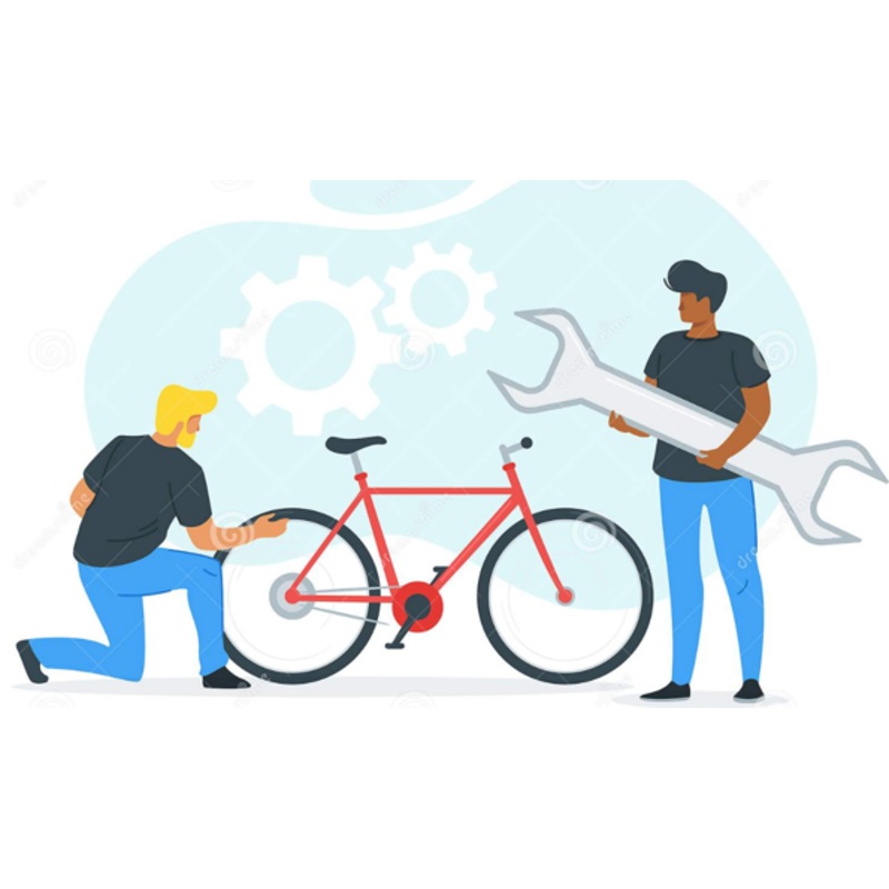 Basic Tune Up: E-Bike