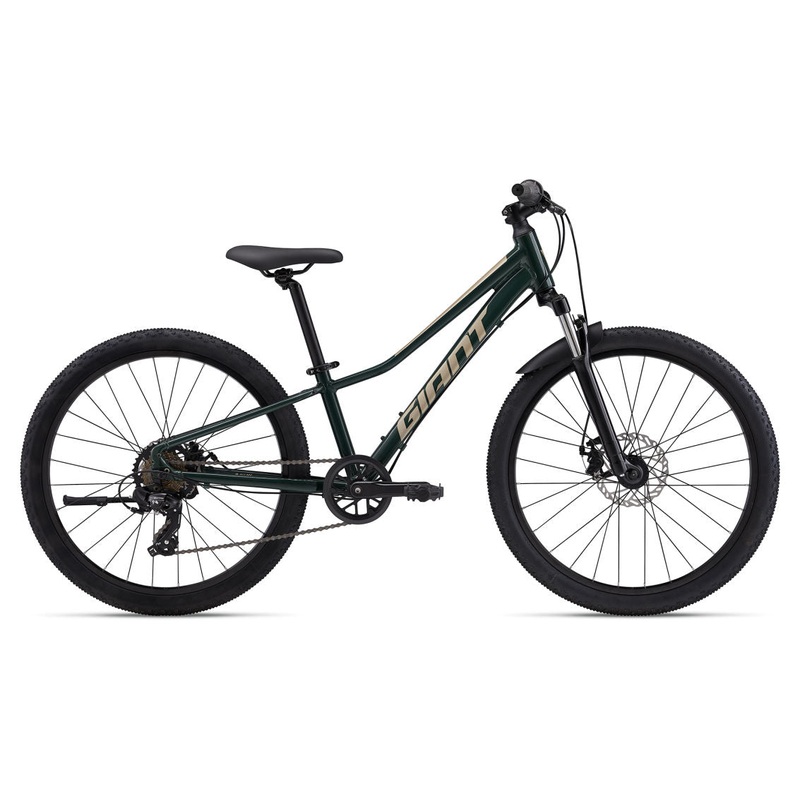 Giant Talon 24 Disc One Size Trekking Green