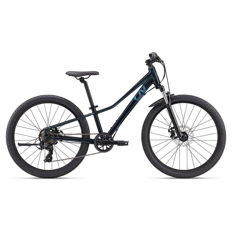 Giant Tempt 24 Disc One Size Starry Night